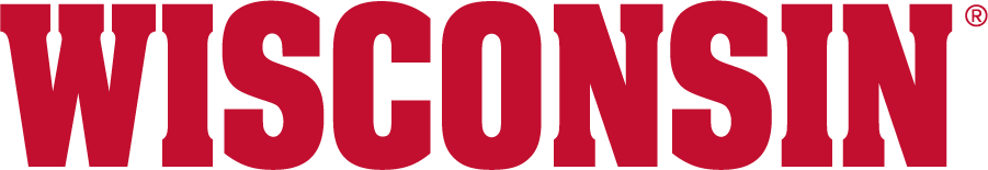 Wisconsin Badgers 2017-Pres Wordmark Logo diy iron on heat transfer